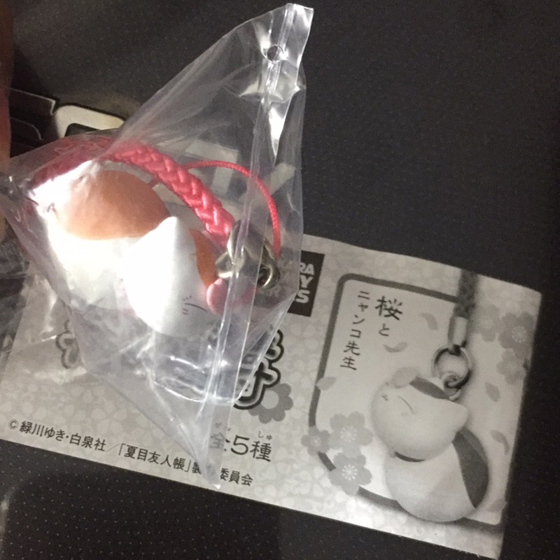 貓咪老師櫻花 團購與ptt推薦 年10月 飛比價格