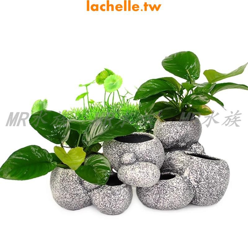 水草盆 團購與ptt推薦 年10月 飛比價格