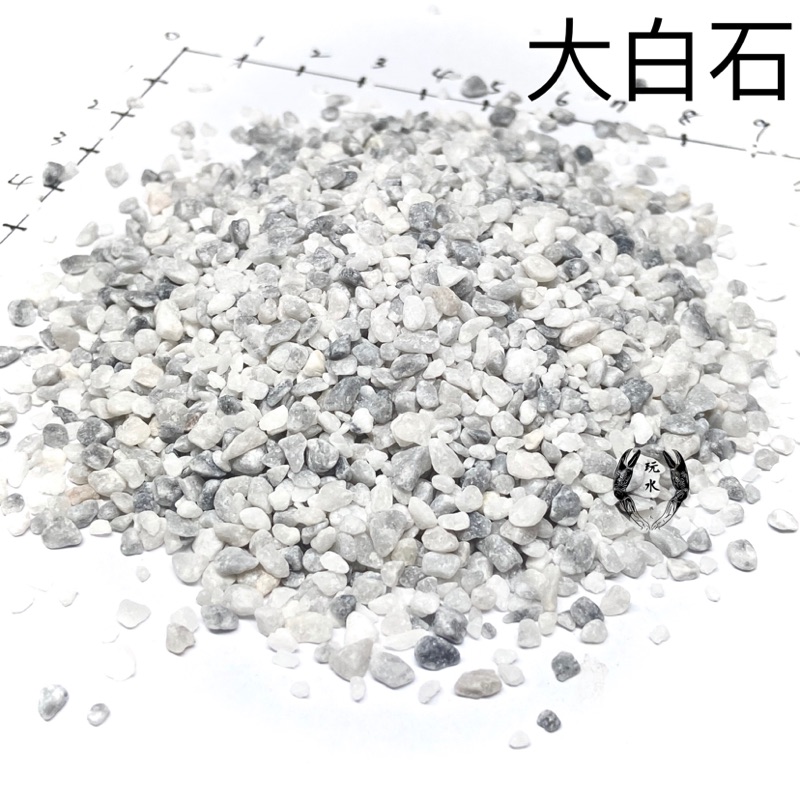 孔雀魚底砂 團購與ptt推薦 年10月 飛比價格