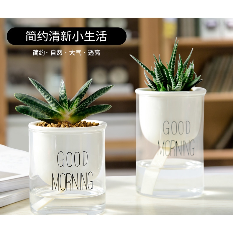 多肉植物玻璃花盆 團購與ptt推薦 年10月 飛比價格