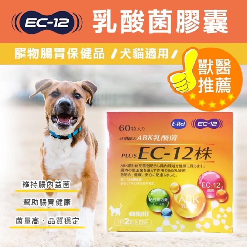 乳酸菌ec 團購與ptt推薦 年9月 飛比價格