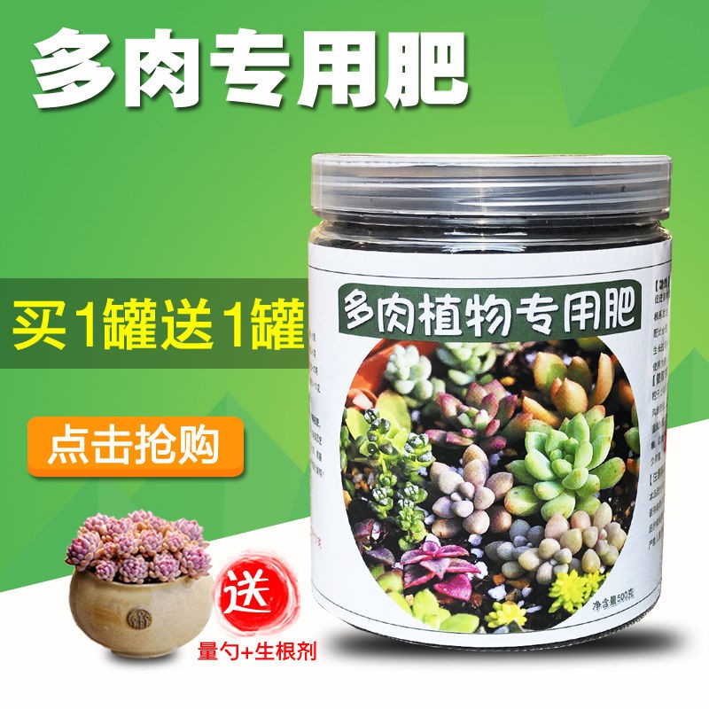 多肉肥料 團購與ptt推薦 年6月 飛比價格
