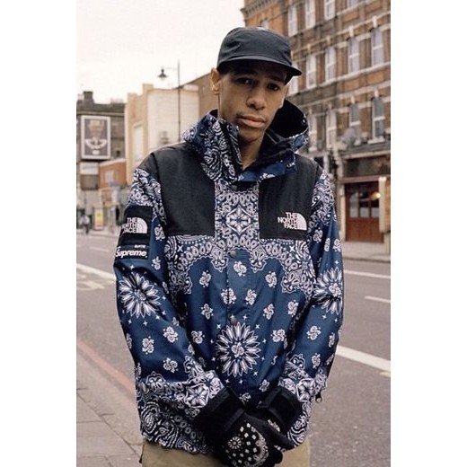 supreme x the north face bandana