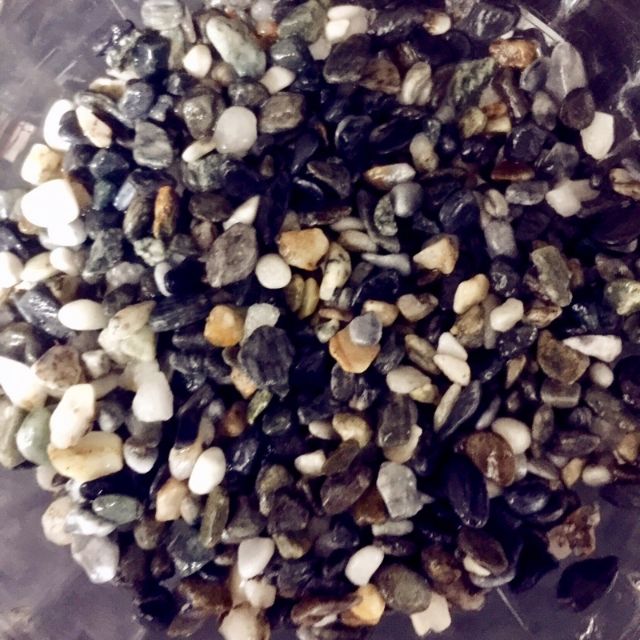 孔雀魚底砂 團購與ptt推薦 年10月 飛比價格