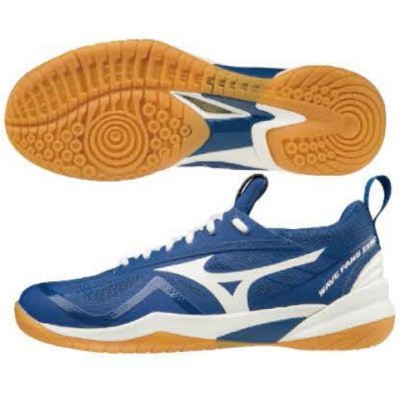 mizuno wave fang rx malaysia