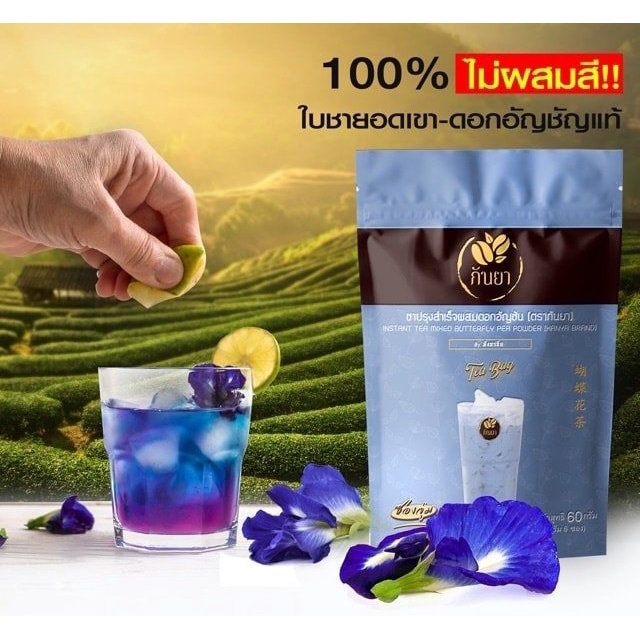 泰國蝶豆花茶包 團購與ptt推薦 年9月 飛比價格