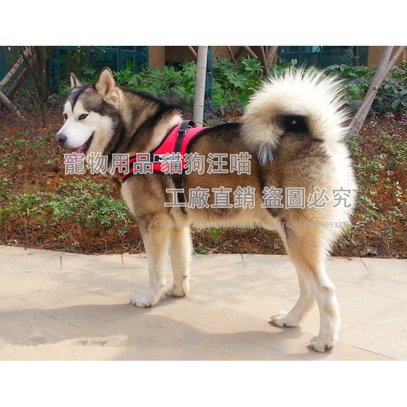 狗背帶胸背中型 團購與ptt推薦 年8月 飛比價格