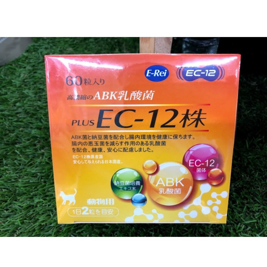 乳酸菌ec 12 團購與ptt推薦 年10月 飛比價格