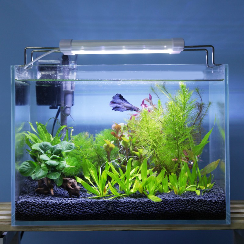 小型魚水草缸 團購與ptt推薦 年8月 飛比價格