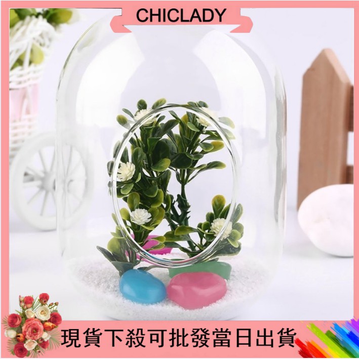 多肉植物玻璃花盆 團購與ptt推薦 年10月 飛比價格