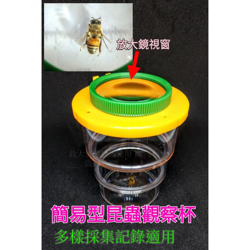 昆蟲採集 團購與ptt推薦 年10月 飛比價格