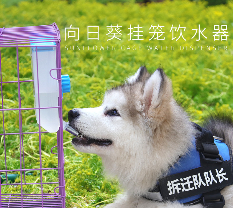 貓自動給水器 團購與ptt推薦 年11月 飛比價格