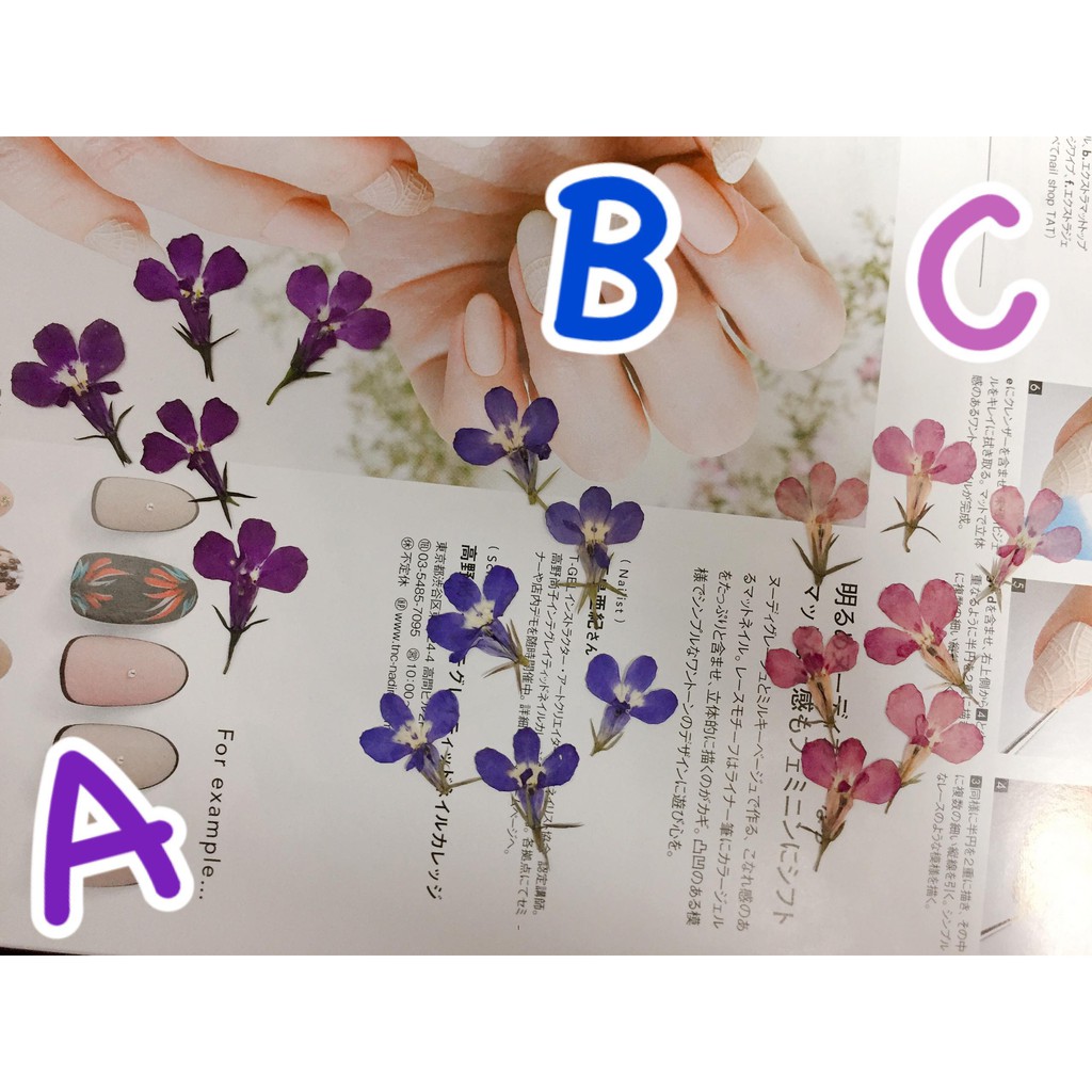 乾燥花素材 團購與ptt推薦 年7月 飛比價格