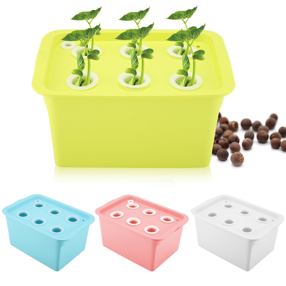 植物栽培箱 團購與ptt推薦 年10月 飛比價格