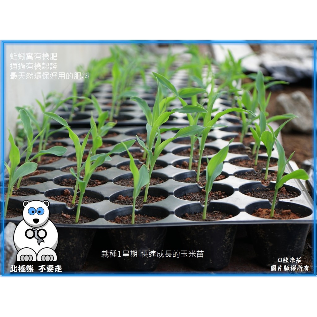 北極熊不要走 有機土之王 蚓糞土10包公斤優惠新鮮貨 內含小蚯蚓或是蚯蚓蛋天然有機肥料種菜小農商品有認證 蝦皮購物