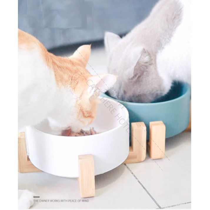 貓這裡 寵物碗架 台灣現貨 陶瓷碗 木架 鐵架碗 狗碗 猫碗 水碗 寵物碗 防打翻 狗碗架 貓碗架 寵物雙碗架
