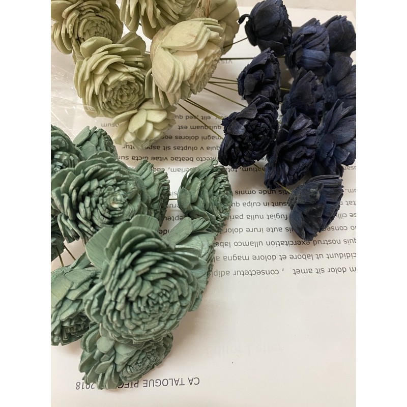 花開四月索拉花盆花花束 蝦皮購物