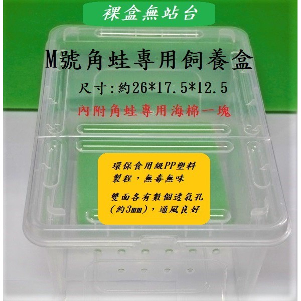 M號角蛙兩棲爬蟲飼育盒 蝦皮購物