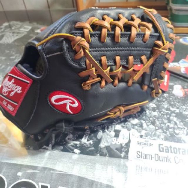 Rawlings Gold Glove 內野手套 G204 4B