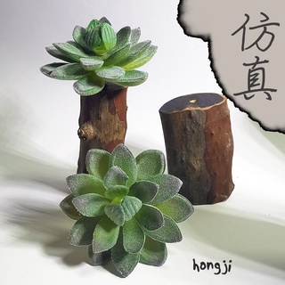 多肉 模擬多肉 微景觀 P50 假多肉植物 辦公室小物生日禮物拍照道具居家裝飾咖啡屋商店擺飾迷你木頭底座盆栽