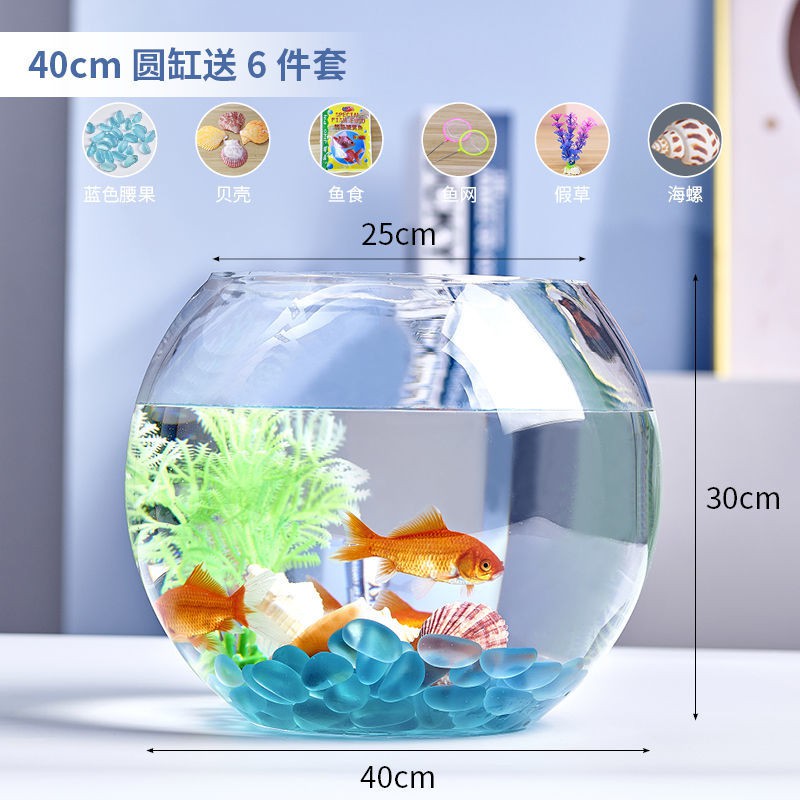 家用小水族箱 透明圓缸圓形金魚缸生態創意玻璃魚缸金魚缸水培缸花瓶特價 蝦皮購物