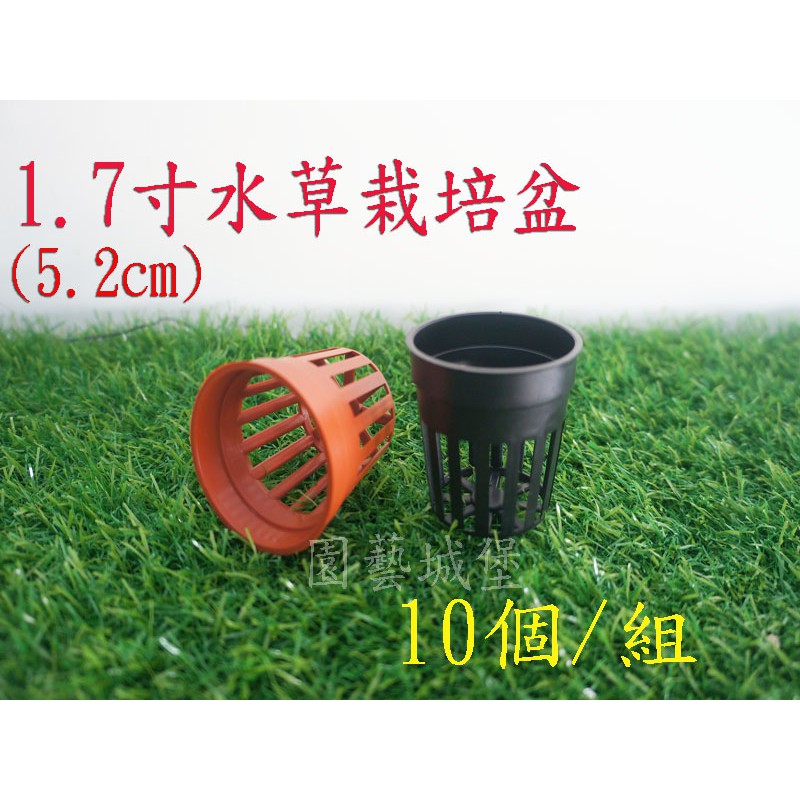 園藝城堡 1 7寸 5 2cm 水草栽培盆10個 組 蝦皮購物