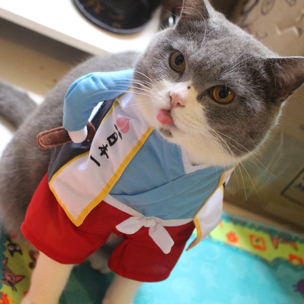 寵物變身裝桃太郎寵物狗貓衣服浦島太郎金太郎站立cosplay Petio 蝦皮購物