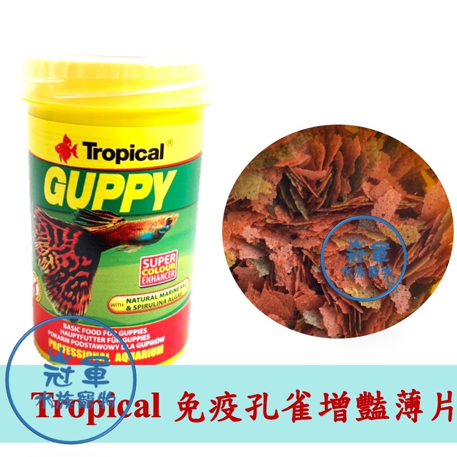 [冠軍] 德比克 Tropical 免疫孔雀增艷薄片 浮性飼料 100ml 孔雀魚 燈魚 斑馬魚 小型魚慈鯛 鬥魚