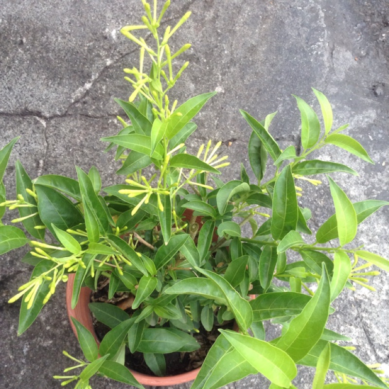 蝦皮購物 花得更少買得更好