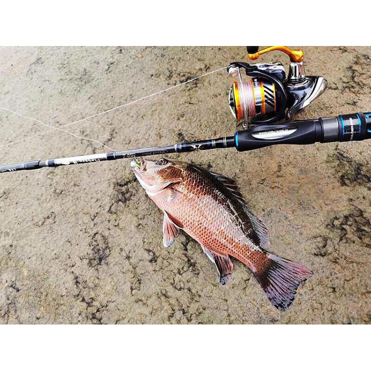 Mustad慕斯達 X Classic Steel Blue Mebaru 天羽根 4p根旅竿並繼路亞竿 蝦皮購物