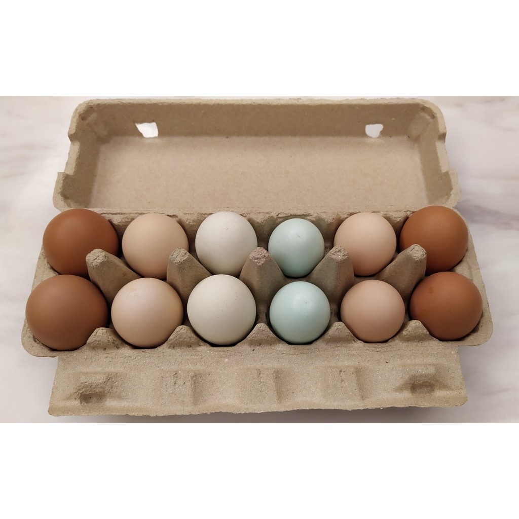 全新現貨 雞蛋 包裝盒 紙蛋盒 紙蛋盤 雞蛋盒 12粒裝 12顆 12枚 12格 環保 紙漿蛋盒 蛋盤 雞蛋托