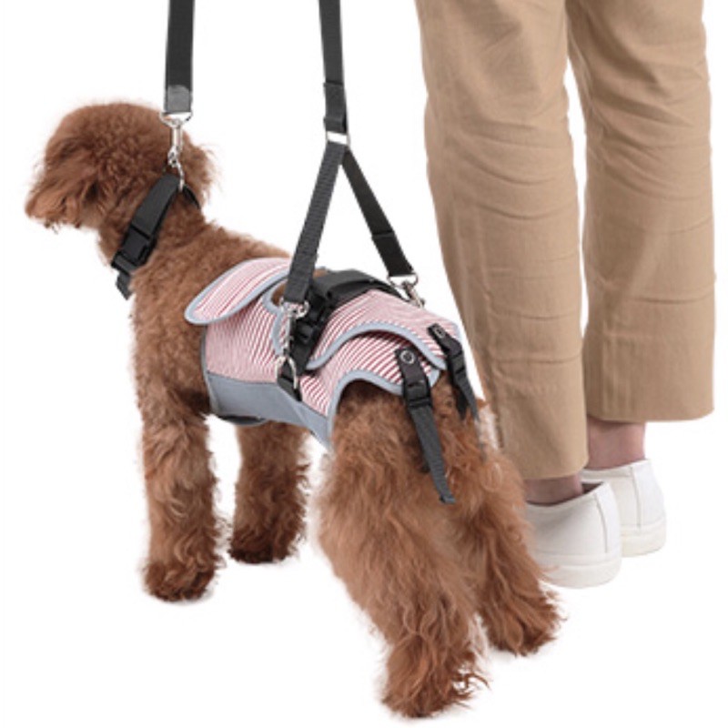 LaLaWalk 小型犬步行輔助帶-條紋-老犬用品/輔助用品/寵物介護/