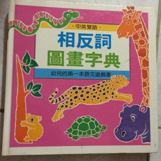 幼兒書 中英文 圖畫字典 好玩有趣，厚板