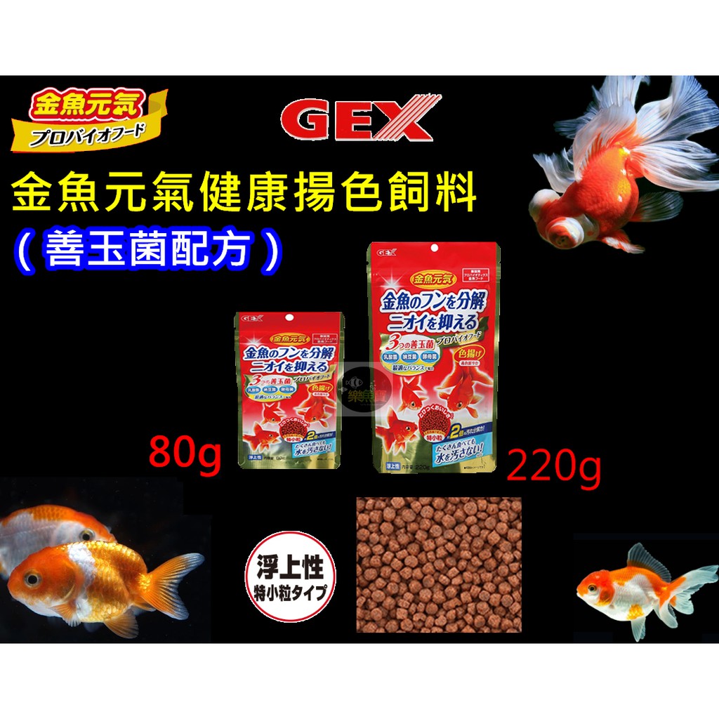 樂魚寶 日本gex五味金魚元氣揚色飼料 善玉菌配方 80g 2g 金魚獅頭藍壽琉金蝶尾珠鱗土佐金 蝦皮購物