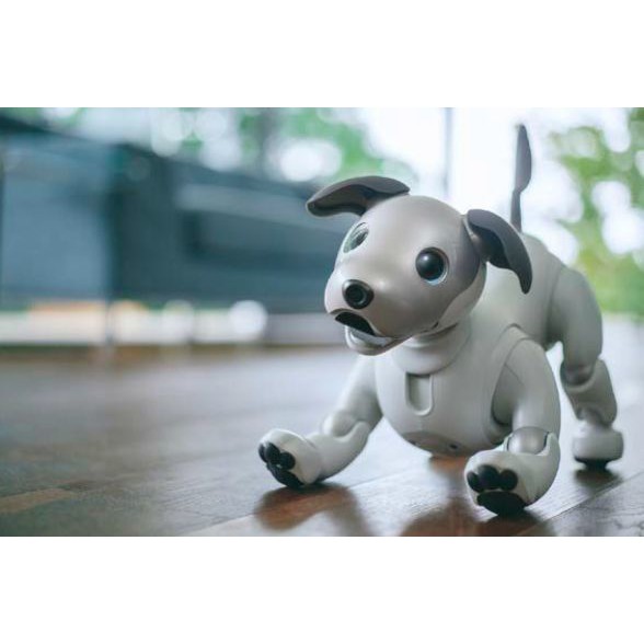 SONY AIBO Ers-1000 ERS 1000 aibo寵物機器狗 寵物玩具 狗狗機器人 療癒機器人 卡哇伊狗狗