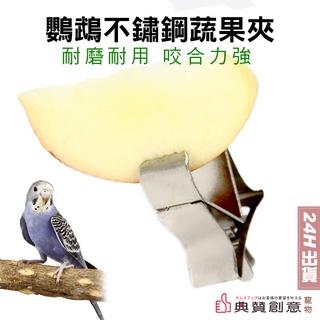 寵物蔬果夾 不銹鋼鳥用蔬菜水果夾 鳥用品 鳥籠配件 可夾蔬菜水果 蔬菜夾 固定器 粟米穗 墨魚骨 24H出貨 典贊創意
