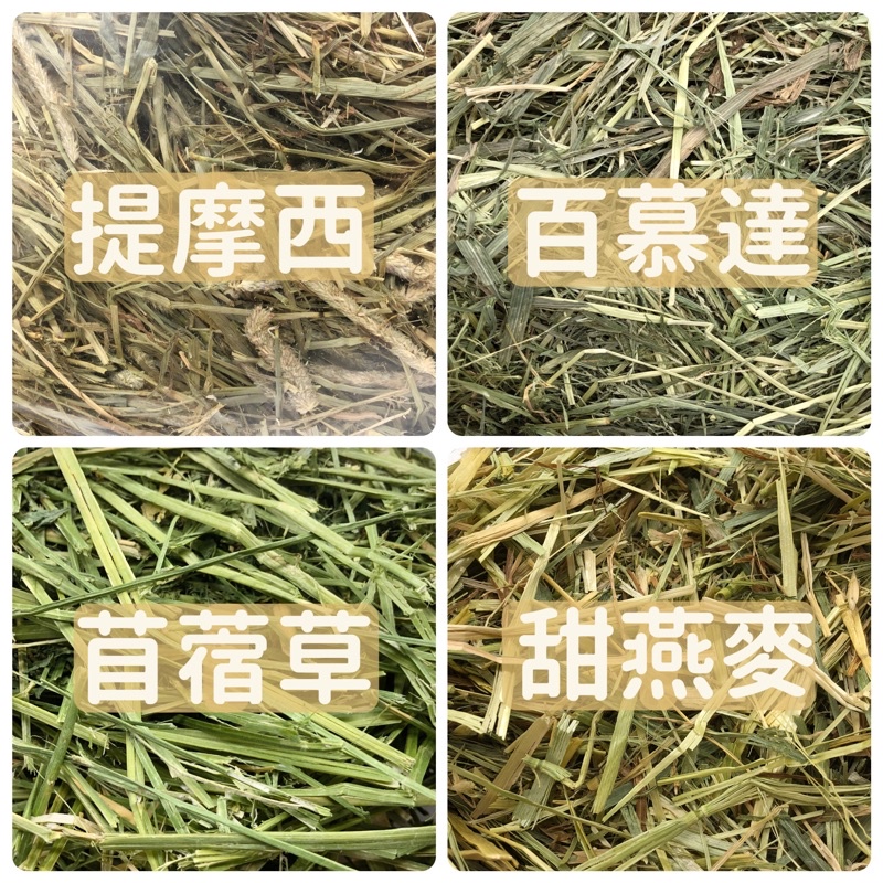 (快速現貨/美國/澳洲)100%天然牧草 兔子牧草 天竺鼠牧草 龍貓牧草 提摩西 甜燕麥 百慕達 苜蓿草