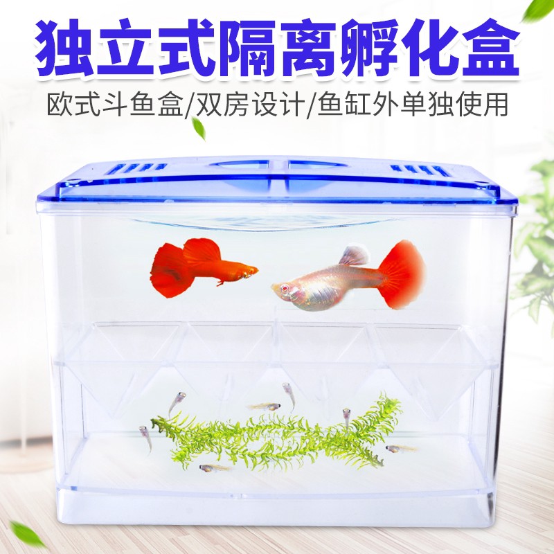 居家養魚 多功能孔雀魚繁殖盒魚缸亞克力隔離盒產卵孵化產房小魚苗幼大小魚 蝦皮購物
