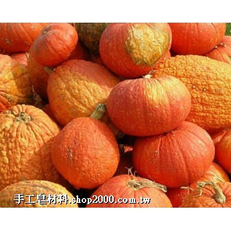 初榨南瓜籽油(Pumpkin Seed Oil)100ml,500ml