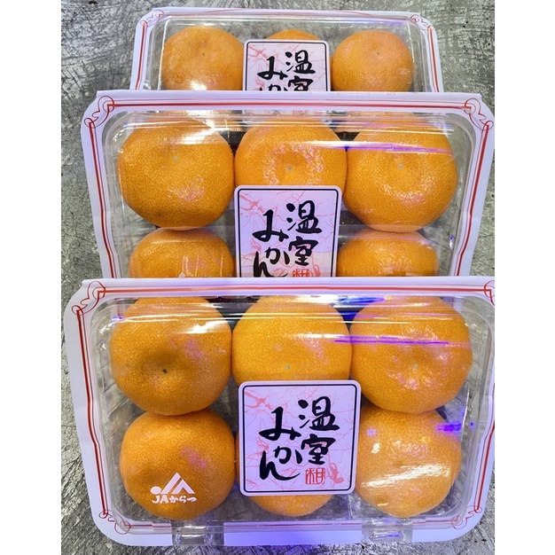 日本🇯🇵西海蜜柑、佐賀、和歌山-溫室《蜜柑》—🍊