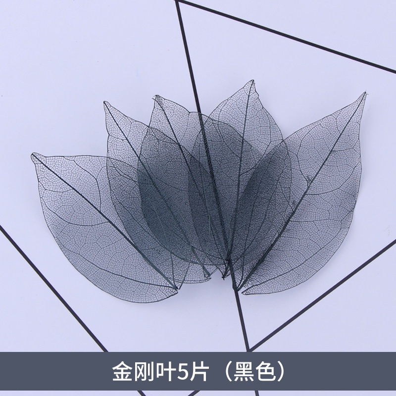 模型家園 填充葉脈金剛葉diy書籤賀卡彩色樹葉標本裝飾畫紋理清晰顏色鮮艷水晶膠diy 手工手鐲吊墜飾 蝦皮購物