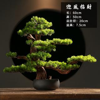 迎客松盆景植物室內松樹綠植花卉小盆栽四季常青仿真造型盆景樹樁 蝦皮購物