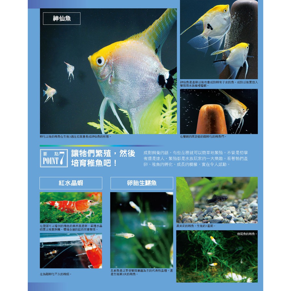 漢欣 熱帶魚與水草的飼育法 暢銷版 蝦皮購物