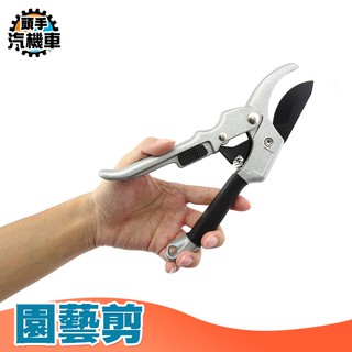 《頭手汽機車》修枝剪刀 鋼修剪 樹枝果樹剪 粗枝剪 園藝剪刀 園藝修枝剪嫁接剪 滑輪剪 剪花枝果樹嫁接剪 SK5