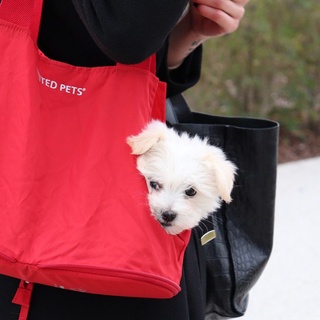 義大利United Pets Lazy Dog Bag懶狗狗外出收納寵物包 (迷彩)