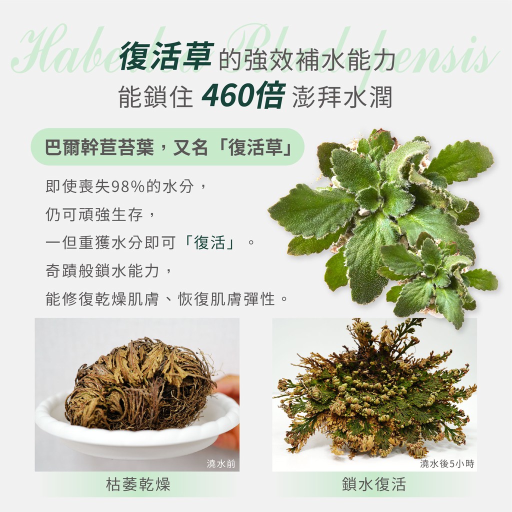 Laboratories 奇肌復活草保濕面膜175g 7g 美妝市集 蝦皮購物