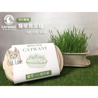 貓咪旺貓草栽培組 優惠推薦 22年6月 蝦皮購物台灣