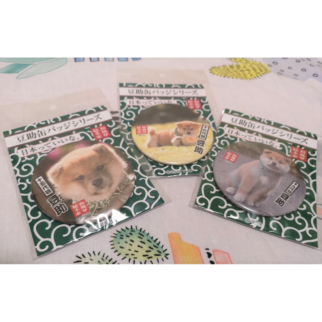 現貨 日本製 人氣柴犬 豆助 罐徽章 別針 十五 十六 十九代 和風總本家 蝦皮購物