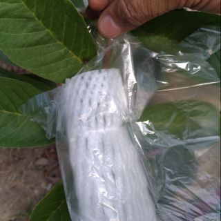 芭樂套袋 250個泡棉+250張塑膠袋 超取跟店到店一單限購一件