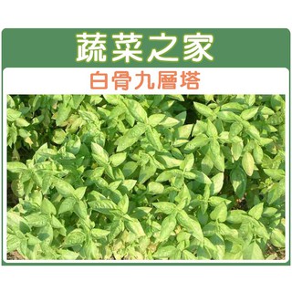 蔬菜之家滿額免運【00F01】大包裝.九層塔 (白骨羅勒)種子15克(約9300顆)
